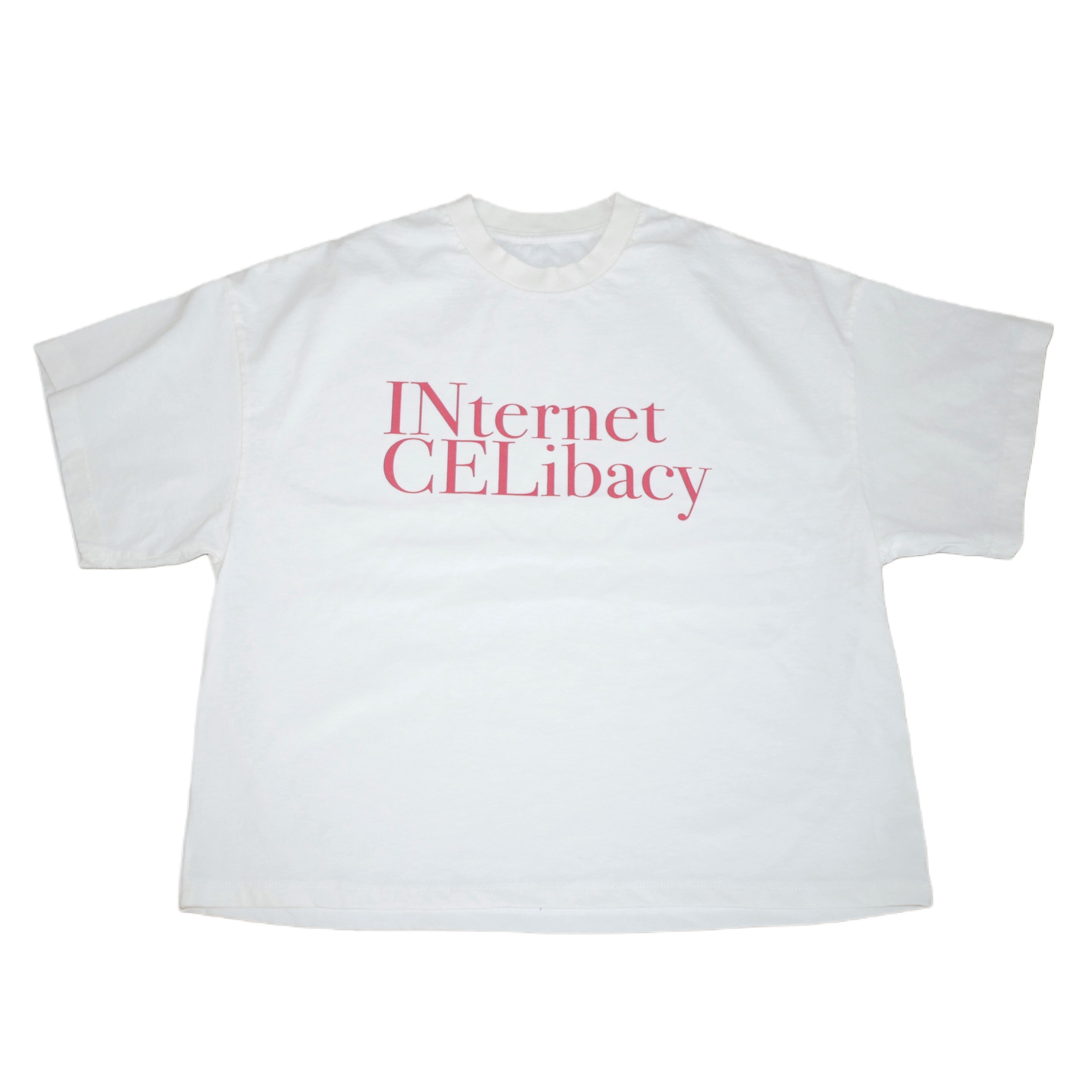 internet celibacy t